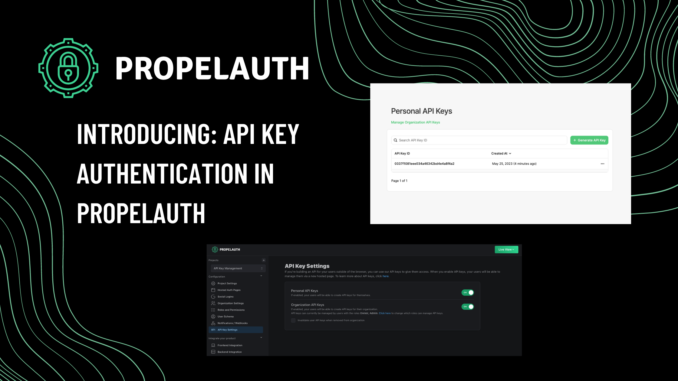 API Key Authentication