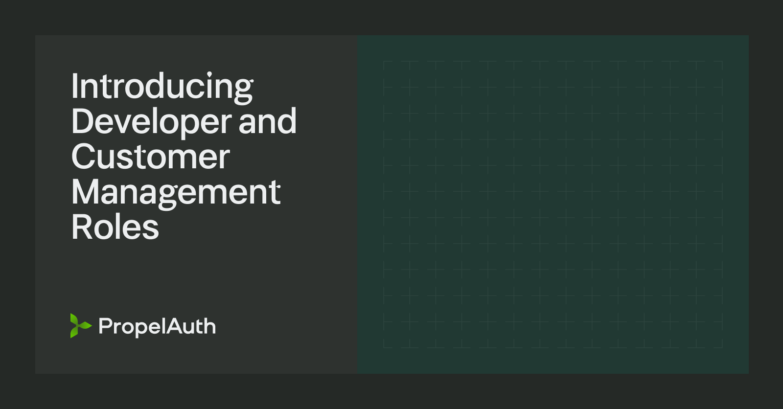 Introducing Developer and Customer Management Roles