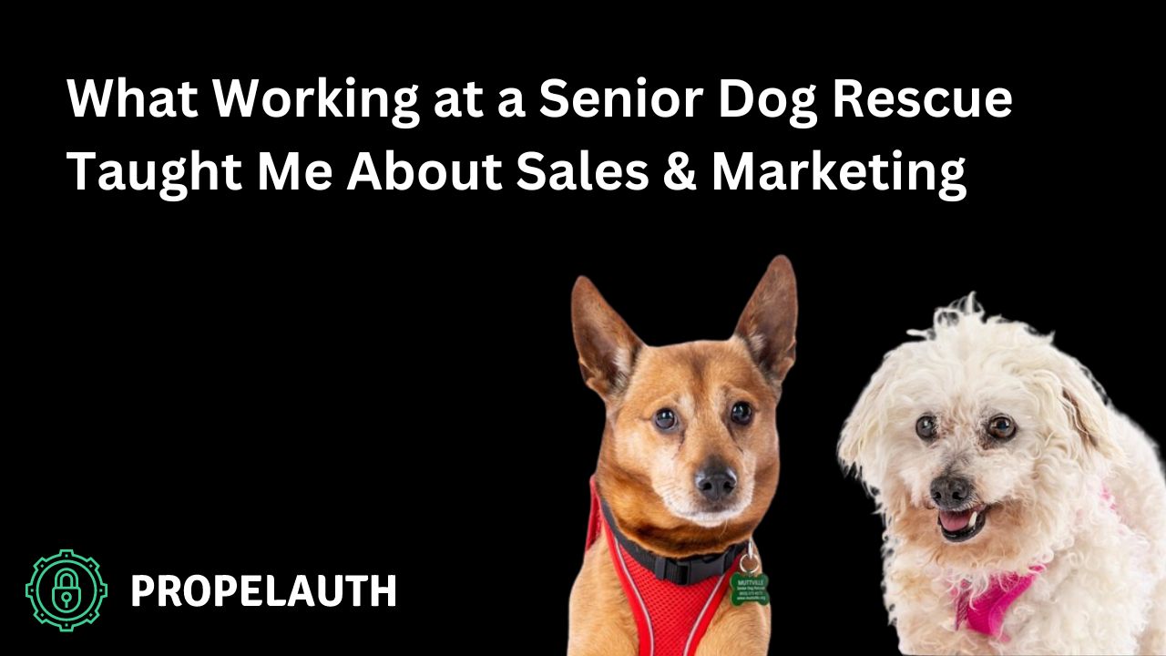 What Working at a Senior Dog Rescue Taught Me About Sales & Marketing