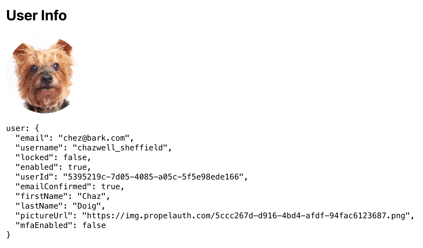 Image in article: React + Flask Authentication Guide